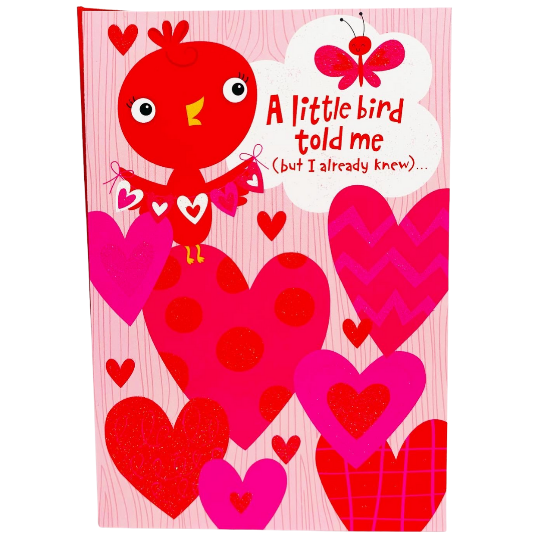 Hallmark: For A Special Kid: Little Birdy Valentine's Day Card