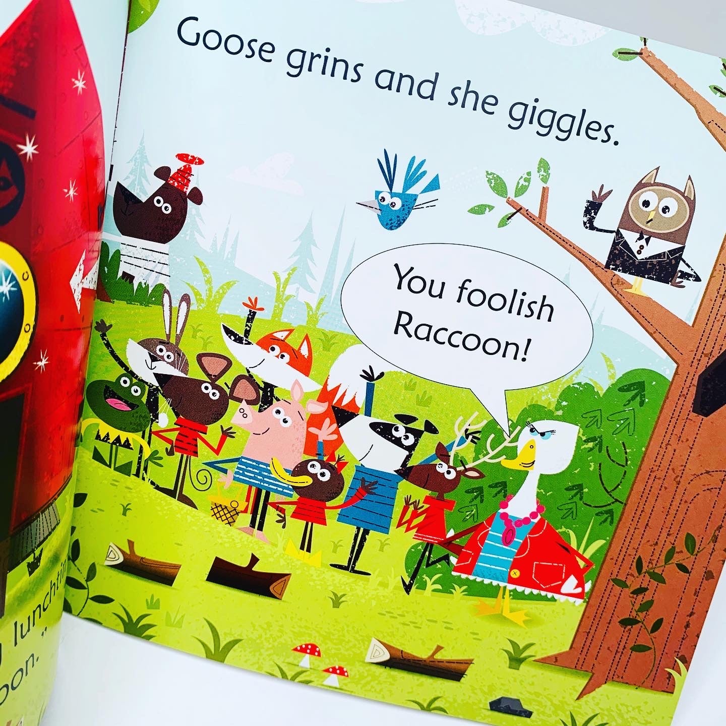 Usborne Phonics Readers: Raccoon on the Moon