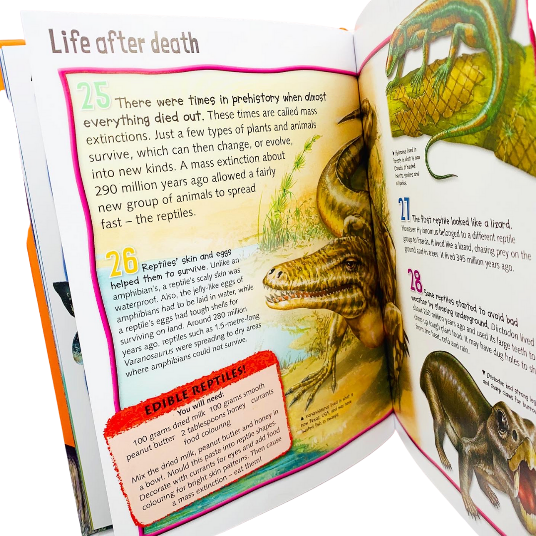 Miles Kelly: Wild About Dinosaurs Children's Encyclopedia