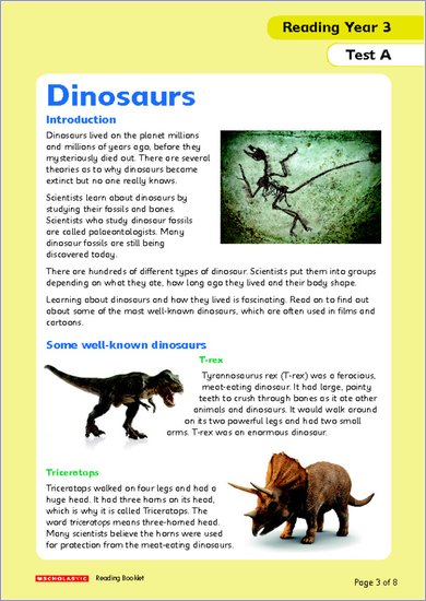 National Curriculum SATs Tests: Reading (Year 3)